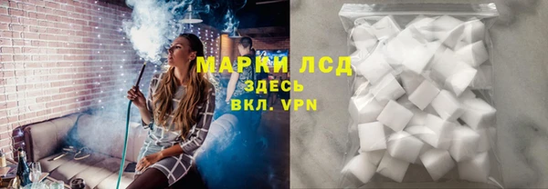 сатива Магас