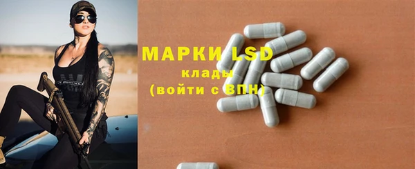сатива Магас