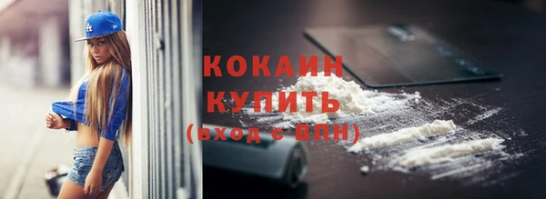 сатива Магас