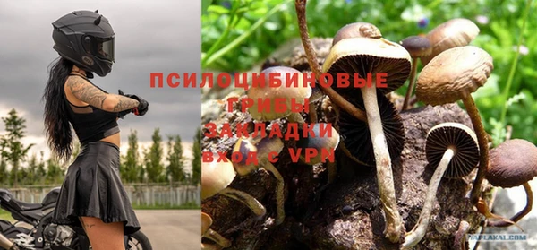 ALPHA PVP Магадан