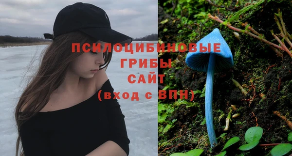 сатива Майский