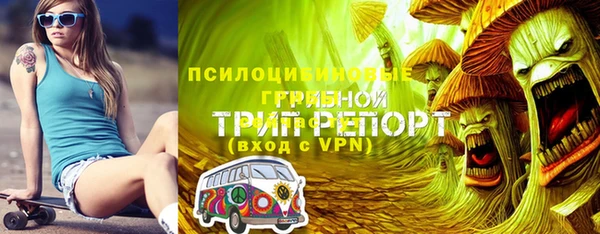 сатива Магас