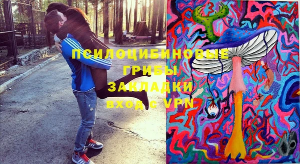сатива Магас